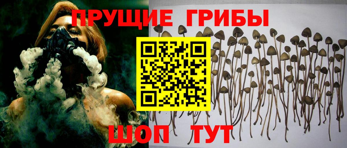 Псилоцибиновые грибы мухоморы  Вход с VPN  Галлюциногенные грибы прущие грибы  Железногорск 