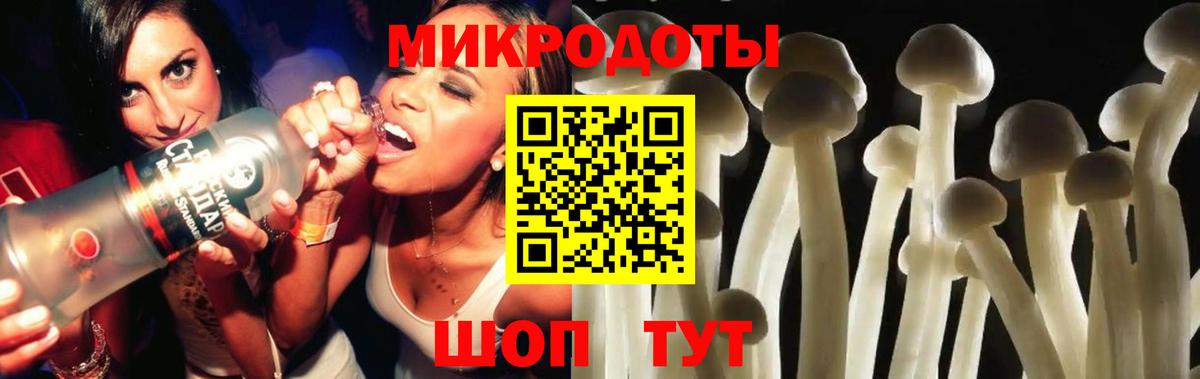 Псилоцибиновые грибы GOLDEN TEACHER Железногорск